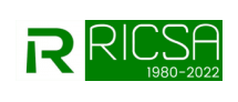 Ricsa logo